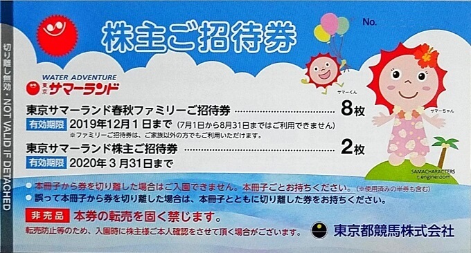 施設利用券東京サマーランド 株主優待 2冊(東京都競馬 - 遊園地/テーマ